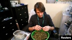 Skylar Hall prepares marijuana buds for sale at the Botana Care store ahead of their grand opening on New Year's day in Northglenn, Colorado, Dec. 31, 2013.