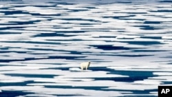 FILE - A polar bear stands on the ice in the Franklin Strait in the Canadian Arctic Archipelago, July 22, 2017. 
