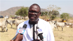 Lokacin Kaddamar Da Sabuwar Allurar Rigakafin Dabbobi A Adamawa