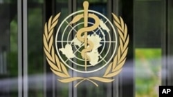 A guard walks inside the entrance of WHO headquarters in Geneva (2009 file photo)