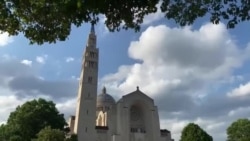 Jonli efir: Grin-karta yutganlarni nima kutmoqda? 2-qism