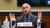 파우치 "미국 코로나 대응, 앞으로 몇 주가 중요...검사 늘릴 것"