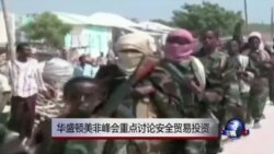 华盛顿美非峰会重点讨论安全贸易投资