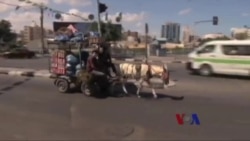 短暂停火，加沙民众稍事喘息