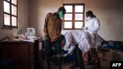 Entre 1976 et 1989, l'OMS avait lancé un programme en Afrique de l'ouest, permettant aux pays comme le Niger de pulvériser des insecticides.