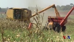 Xalqaro hayot - 7-iyun, 2018-yil - AQSh va Xitoy savdo bobida kelishishga urinmoqda