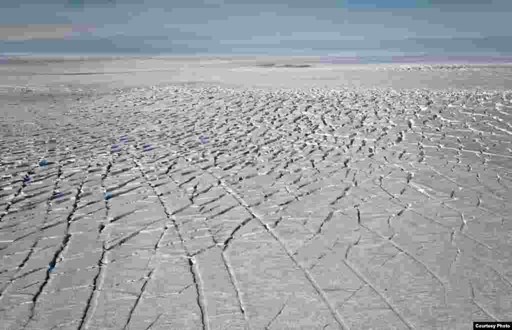 Curvi-linear crevasses in a region of complex ice flow on Pine Island Glacier, West Antarctica. (Photo courtesy Ian Joughin)