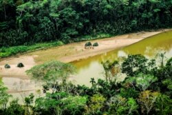 Amazon daryosi, Peru