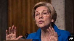 엘리자베스 워런 민주당 상원의원.