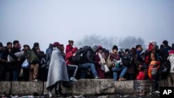 Migrants gather to gain entrance to Austria, at the Slovenian Austrian border, in Sentilj, Slovenia, Nov. 3, 2015. Austria proposed a tough new bill to deter Afghans that the U.N. refugee agency criticized as likely to increase the migrants' suffering.