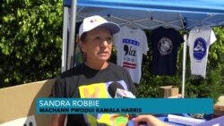 Moun Kap Vann Machandiz Elektoral Eseye Janti Youn ak Lòt Malgre yo Dozado Politikman