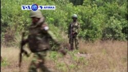 VOA60 AFIRKA: NIGERIA Wasu Tsagerun Niger Delta Sun Dauki Alhakin Fasa Bututun Man Fetur Mallakar Gwamnati