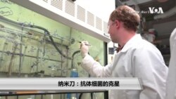 纳米刀：抗体细菌的克星