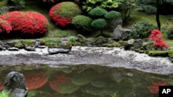 Colorful leaves are reflected in a pool of water at the Portland Japanese Garden in Portland, Oregon