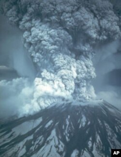 Scientists are amazed that the once-charred area around Mount St. Helens is new teeming with life.