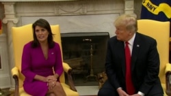 Haley: I'm Not Running in 2020