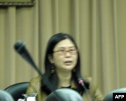 台湾陆委会主委赖幸媛