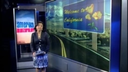 Yosh tabiatparvarlar/Young environmentalists