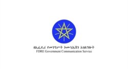 መንግሥት “ሸኔ” ባላቸው ታጣቂዎች ላይ እርምጃ መውሰዱን አስታወቀ