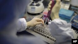 Analiza uzoraka krvi na koronavirus (ilustracija) 