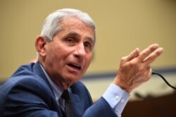 FILE - Dr. Anthony Fauci, director of the National Institute for Allergy and Infectious Diseases, speaks on Capitol Hill in Washington, July 31, 2020.