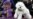 Bichon Frise Becomes America’s Top Dog