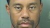 Woods Was Asleep at Wheel Prior to Arrest, Florida Police Say