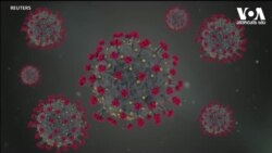 კორონავირუსის პირველი ვიდეო გამოსახულება