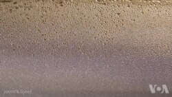 加州大学伯克利分校毕业生研发出沙漠集水器