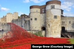 In 2014, artists created a memorial with poppies at the Tower of London to mark the anniversary of World War I.