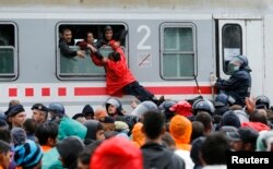 Migrants pull a boy through a train window at the station in Tovarnik, Croatia, Sept. 20, 2015.