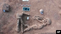 This undated handout photo provided by the Egyptian Antiquities Authority, shows a skeleton, at the Kom al-Kholgan archaeological site, about 140 kilometers (87 miles) north of Cairo, Egypt.