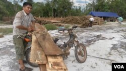 A villager is seen here tying timber to his motorcycle for trading with the logging company as two UN investigator are looking around in the compound of the logging company, file photo. 
