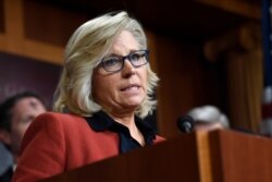 리즈 체니 미국 공화당 하원의원.