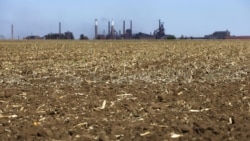 በደቡባዊ አፍሪካ 60 ሚሊዮን ሰዎች የምግብ ዋስትና ችግር እንዳለባቸው ተመድ አመለከተ