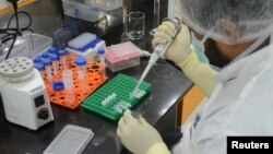 រូបឯកសារ៖ អ្នកវិទ្យាសាស្រ្ត​ស្រាវជ្រាវ ធ្វើការ​នៅ​មន្ទីរពិសោធន៍​នៃ​វិទ្យាស្ថាន Serum របស់​ប្រទេស​ឥណ្ឌា ដែលជា​ក្រុមហ៊ុន​ផលិត​វ៉ាក់សាំង​ធំជាងគេ​បំផុត​នៅលើ​ពិភពលោក ដែល​កំពុង​ផលិត​វ៉ាក់សាំង​ប្រឆាំងនឹង​វីរុសកូរ៉ូណា នៅ​ទីក្រុង Puneនៃ​ប្រទេស​ឥណ្ឌា នៅ​ថ្ងៃទី១៨ ខែឧសភា ឆ្នាំ២០២០។