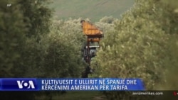 Kultivuesit e ullirit në Spanjë dhe kërcënimi amerikan për tarifa