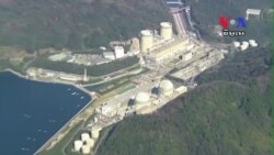 ប្រាំ​ឆ្នាំ​ក្រោយ​មហា​រលក​ស៊ូណាមី គេ​នៅ​តែ​មិន​ទាន់​ដឹង​អំពី​ផល​ប៉ះពាល់​នៃ​ការ​លេច​វិទ្យុសកម្ម​នៅ​រោង​ចក្រ​បរមាណូ​ Fukushima នៅ​ឡើយ​ទេ