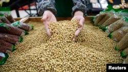 中国武汉工人正筛选美国大豆（路透社）