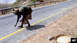 FILE - Aluniya Ngulube gathers corn from the scene of an accident where a truck carrying corn had spilled it's load on a road in Zambia in August 2002.