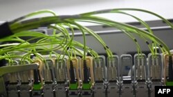 መስመራትፋይበር ኦፕቲክስ ፈረንሳ- ፋይል