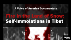 Fire in the Land of Snow: Self-Immolations in Tibet