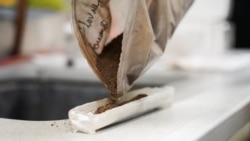 Scientists at University of Tartu make carbon-based batteries using peat, in Tartu, Estonia, on September 30, 2021. (REUTERS/Janis Laizans)