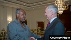 美国防长马蒂斯2017年4月23日会见吉布提总统盖莱 （美国国防部照片） 