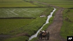 지난 2012년 북한 평양 외곽의 농촌 풍경. (자료사진)