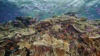 Australia Promises Multimillion Dollar Plan to Tackle Great Barrier Reef Pollution