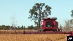 南达科他州的一个农户在收割大豆（资料图）