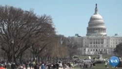 Demokratlar o'qotar qurollarning qattiqqo'l nazoratiga erishmoqchi