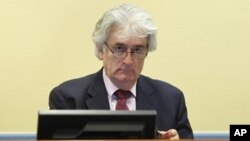 Komandan Perang Bosnia Serbia Radovan Karadzic menyangkal kejahatan perang yang dituduhkan terhadapnya (foto: dok).