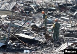 Handlers and their dogs carry out a search amidst the wreckage of houses destroyed in an explosion at the San Pablito fireworks market outside the Mexican capital, in Tultepec, Mexico, Dec. 21, 2016.